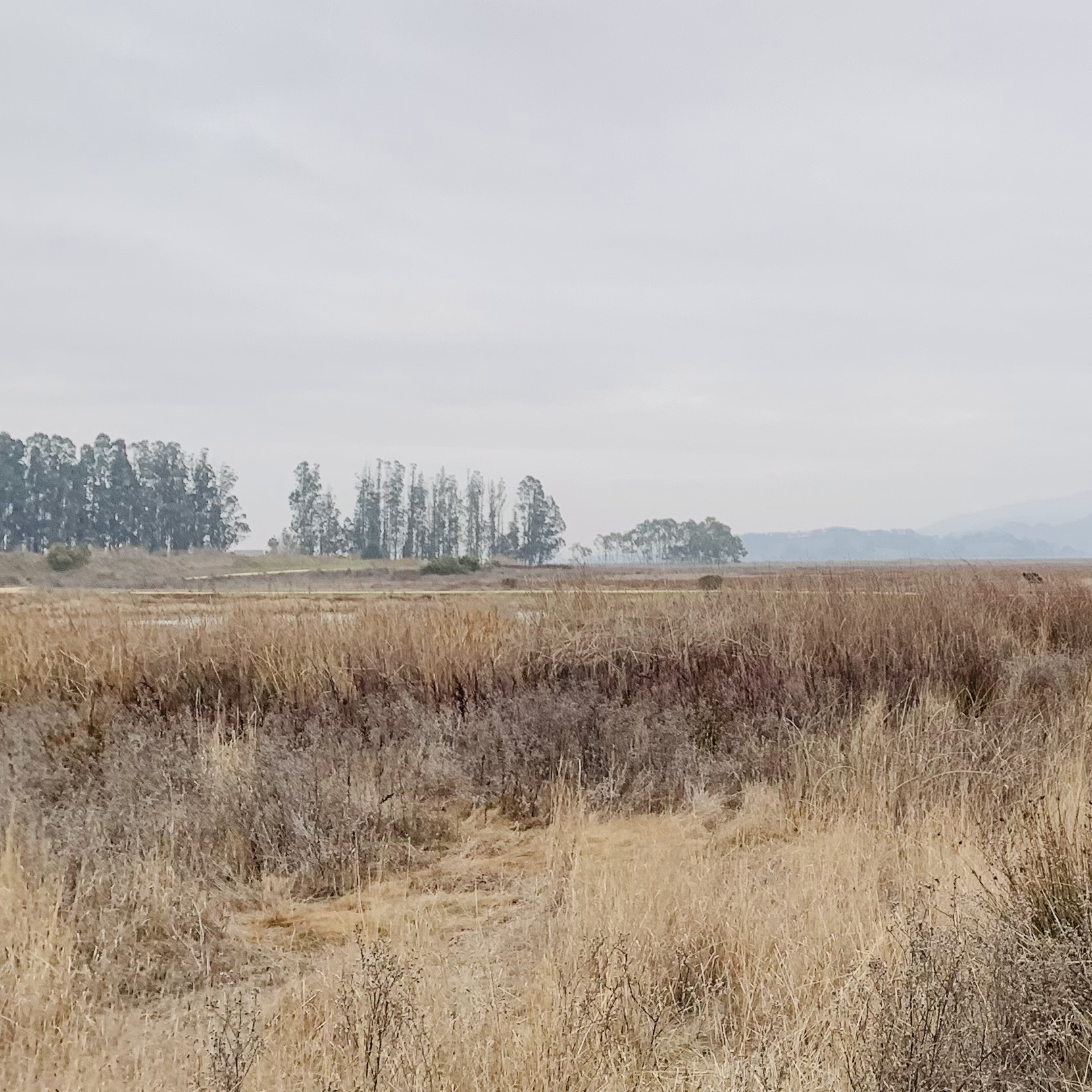 Placeholder because of AI deepfake risks. Photo of park near Tang Rui Ting's hometown.